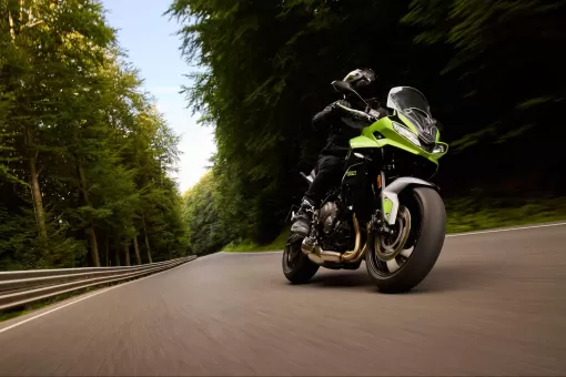 triumph-nov24-tigersport660updates-gallery6.jpg